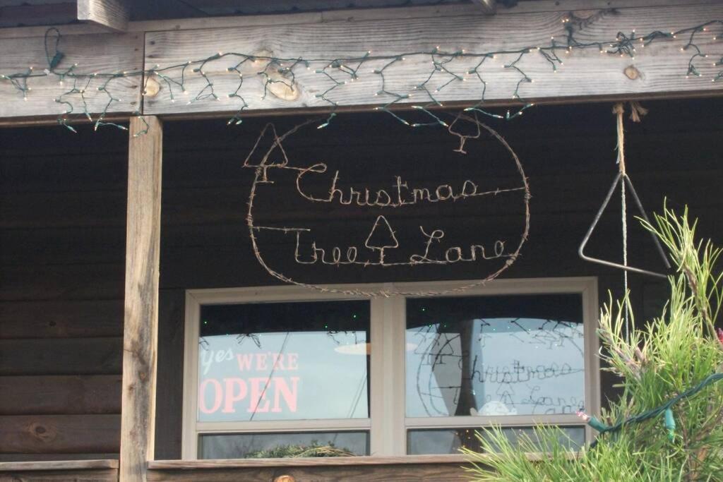 Rural Life On A Real Christmas Tree Farm! Hallmark Experience! Ozark エクステリア 写真