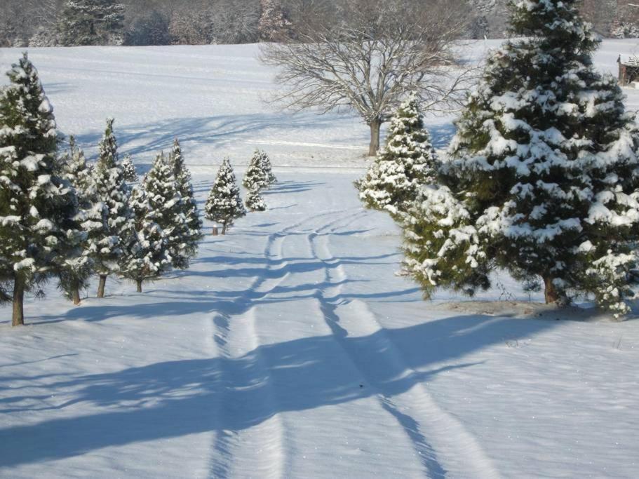 Rural Life On A Real Christmas Tree Farm! Hallmark Experience! Ozark エクステリア 写真