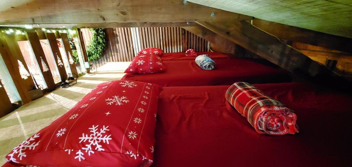Rural Life On A Real Christmas Tree Farm! Hallmark Experience! Ozark エクステリア 写真