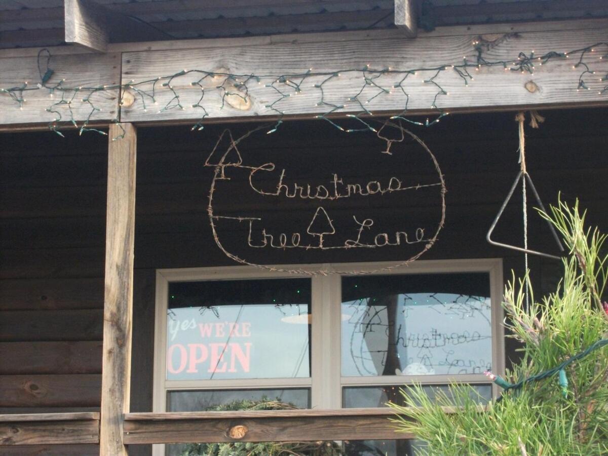 Rural Life On A Real Christmas Tree Farm! Hallmark Experience! Ozark エクステリア 写真