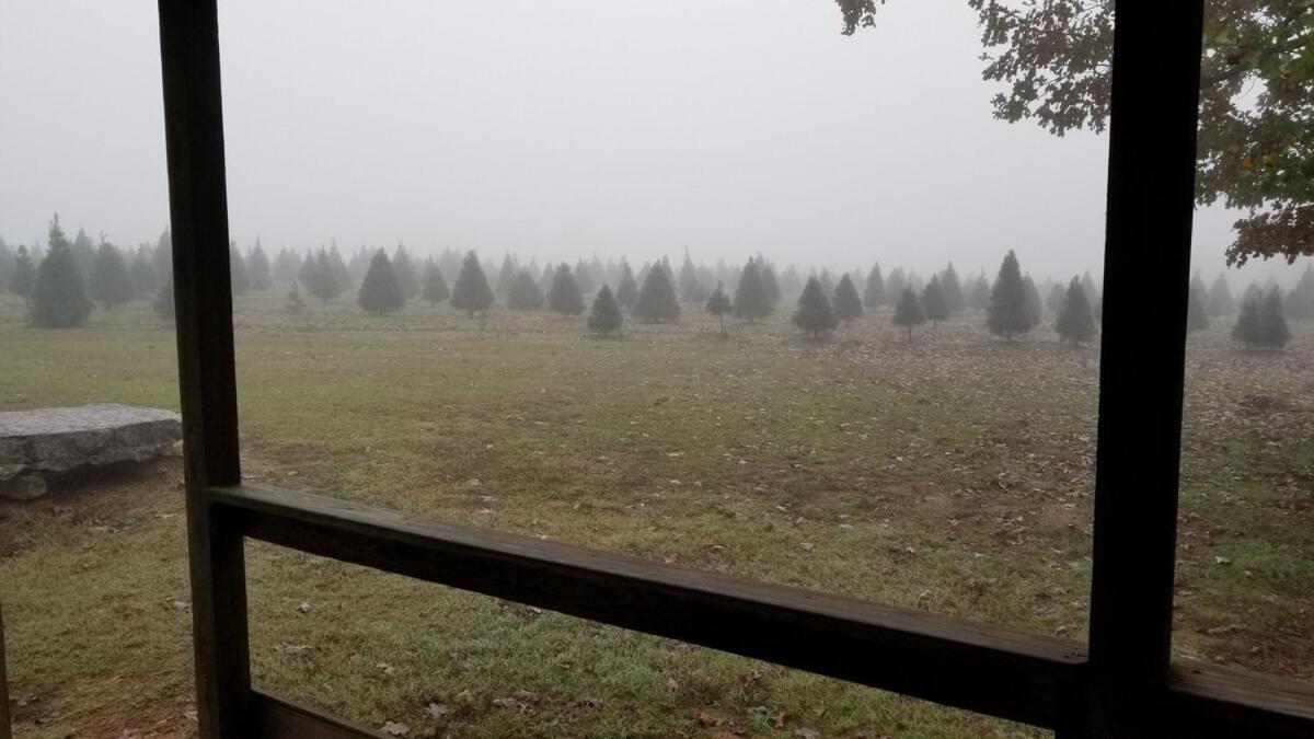 Rural Life On A Real Christmas Tree Farm! Hallmark Experience! Ozark エクステリア 写真